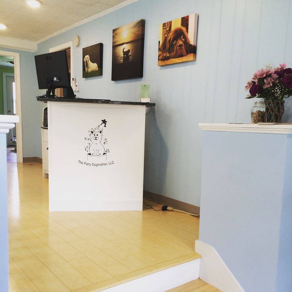 The bright front desk and lobby at the Fairy Dogmother